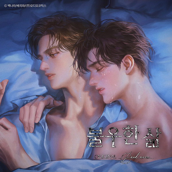 앨범아트