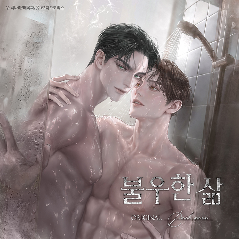 앨범아트