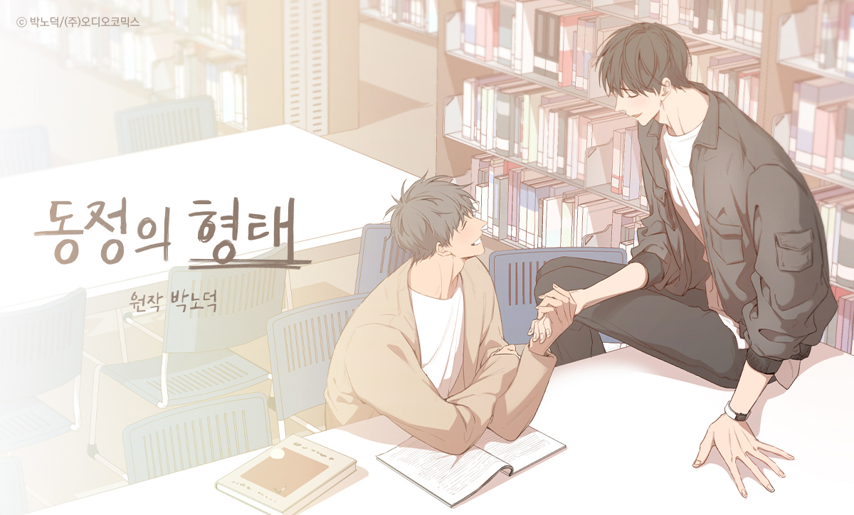 동정의 형태
